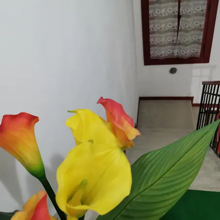 Dimora Station Venise